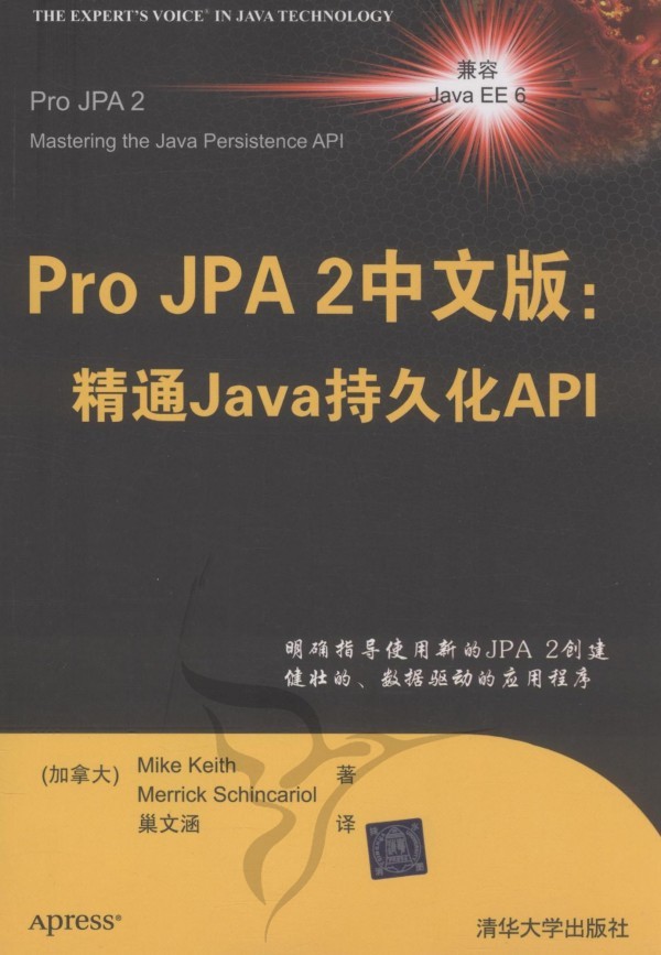 Pro JPA2中文版