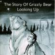 The Story of Grizzly Bear Looking Up