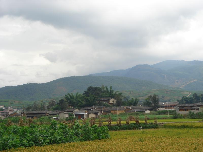 團山自然村(雲南保山施甸縣由旺鎮常村村委會團山自然村)