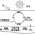 藻菌共生系統