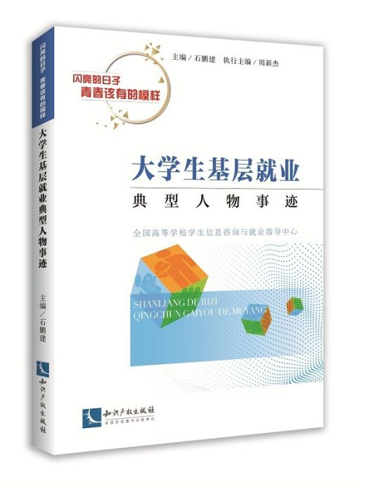 大學生基層就業典型人物事跡(2018年智慧財產權出版社出版的圖書)