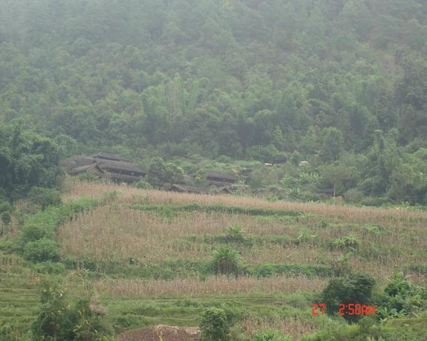 九道河自然村