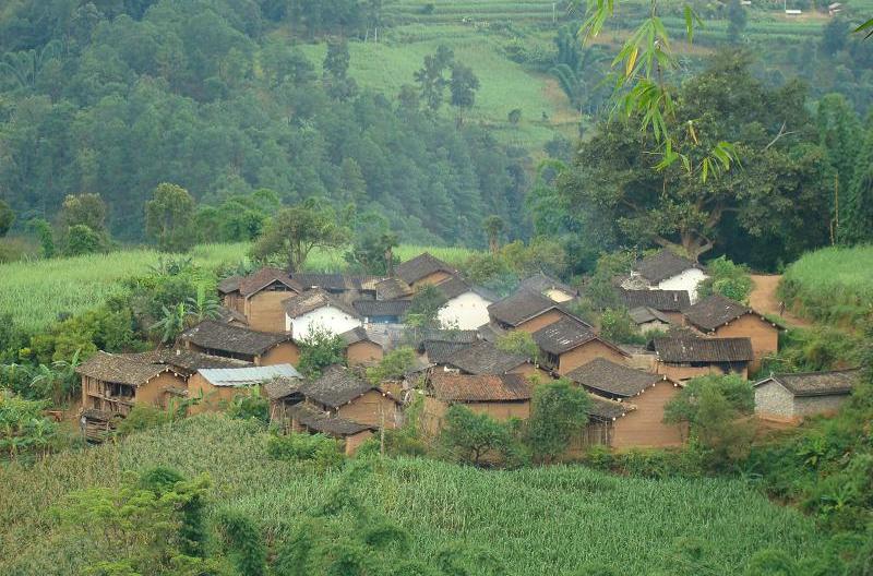 陳家寨自然村(團田鄉團田行政村下轄自然村)