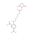 N-（2,4-二硝基苯基）-6-氨基己酸-N-琥伯醯亞胺