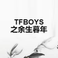 TFBOYS之餘生暮年