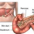 胰酶分泌或排出量降低