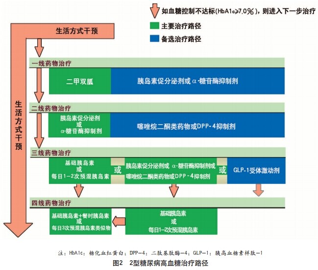 西格列汀二甲雙胍片