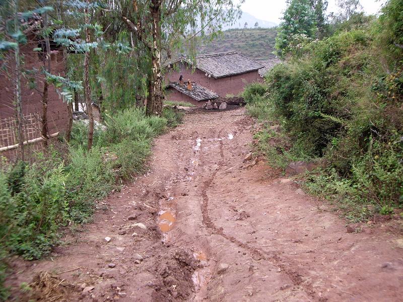 祿豐縣和平鎮鄧家灣村委會龍平村進村道路