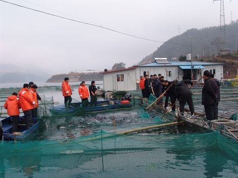 淳安縣千島湖水域網箱養殖管理暫行辦法