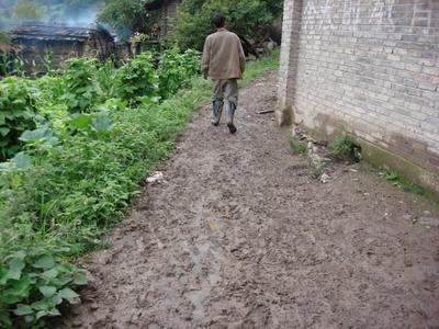 啦古山下村村內道路