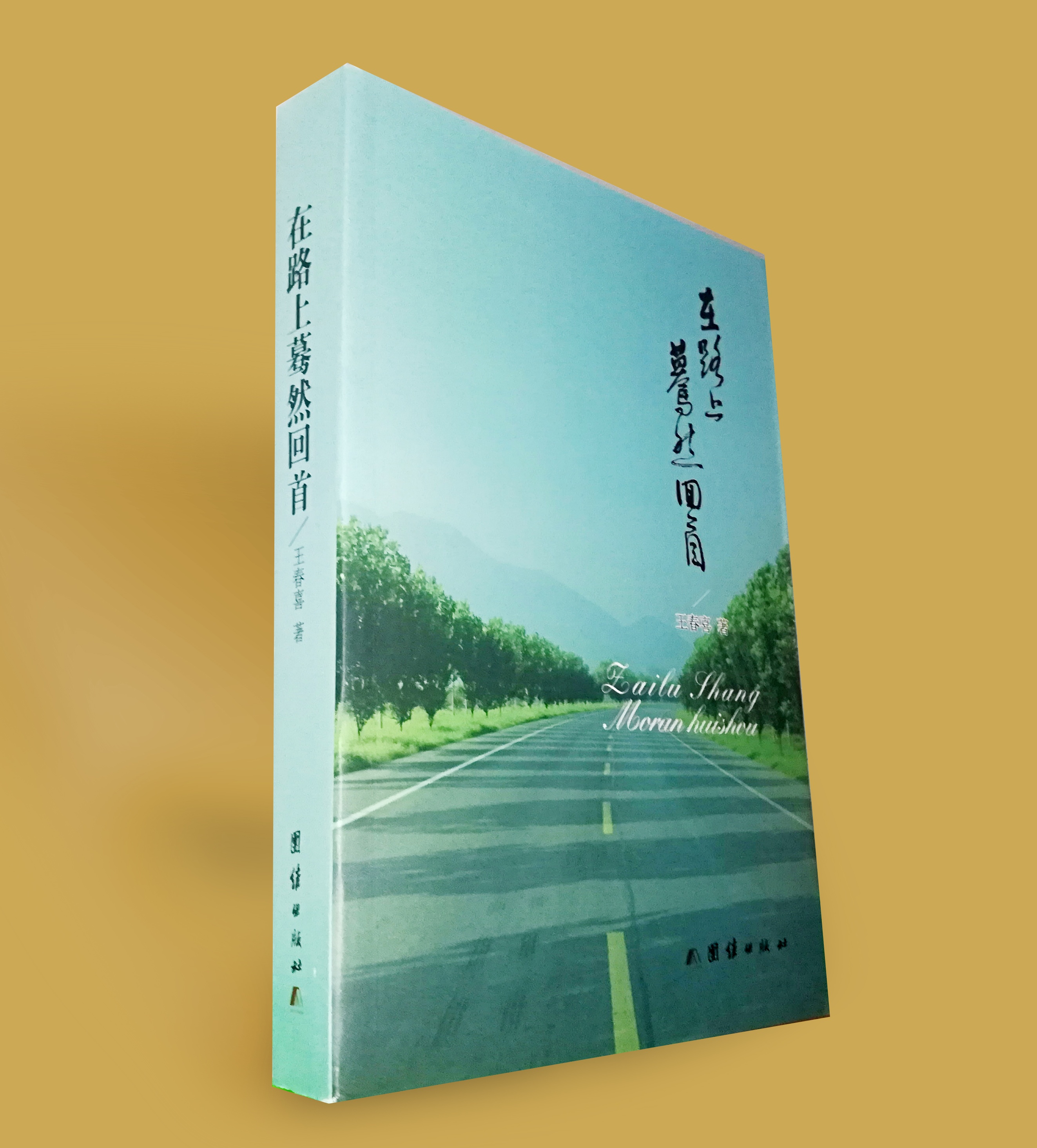 王春喜(中國·河南作家、記者、書法家、家譜編修師)