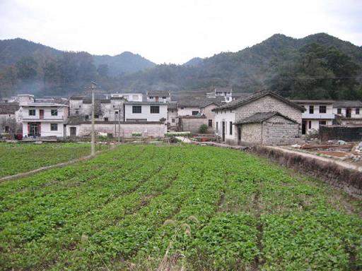 范家村(山西省萬榮縣王顯鄉范家村)