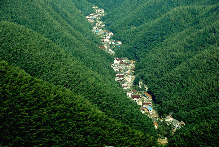 甘溪村(江西省上饒縣甘溪村)