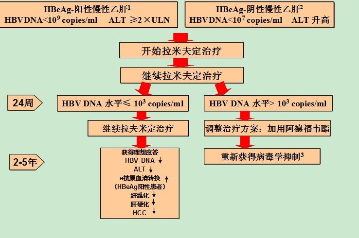 阿迪仙聯用賀甘定最佳化治療方案