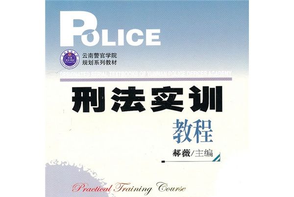 刑法實訓教程