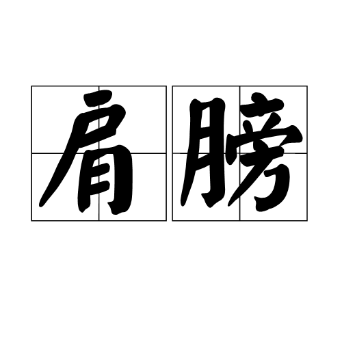 肩膀(身體部位)