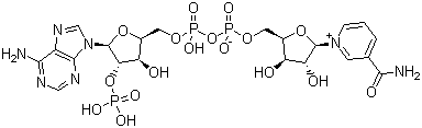 煙醯胺腺嘌呤雙核苷酸磷酸鹽