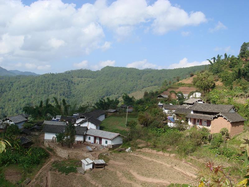 龍塘自然村(雲南省普洱市墨江縣團田鄉龍塘自然村)