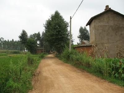 進村道路