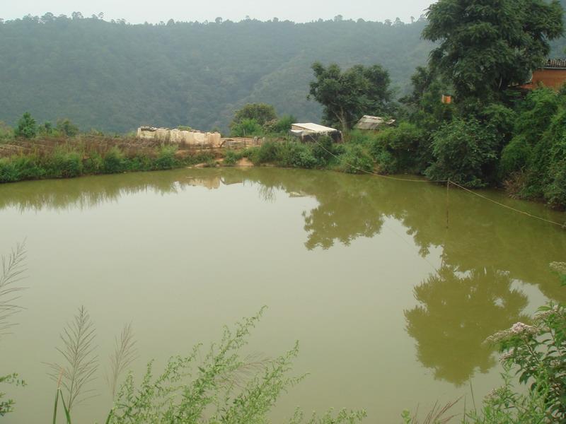 邑池都村