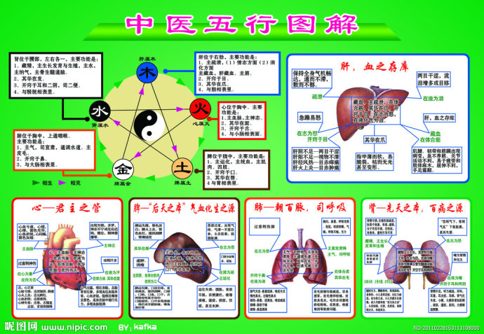 生理早泄的原理