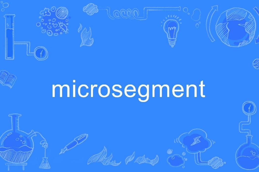 microsegment