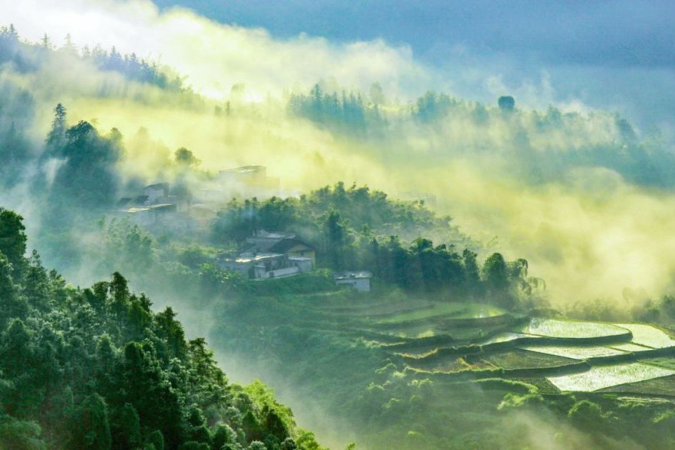 六堡茶生態旅遊景區