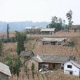 茶元村(雲南省昭通市彝良縣洛旺鄉下轄村)