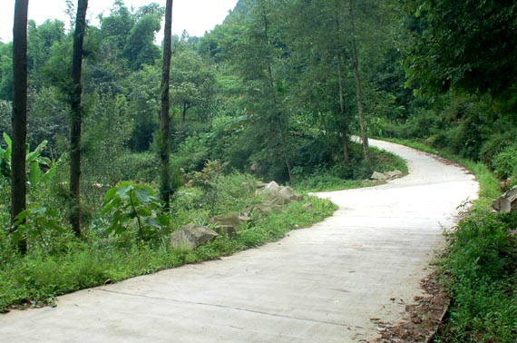 三匯鎮道路