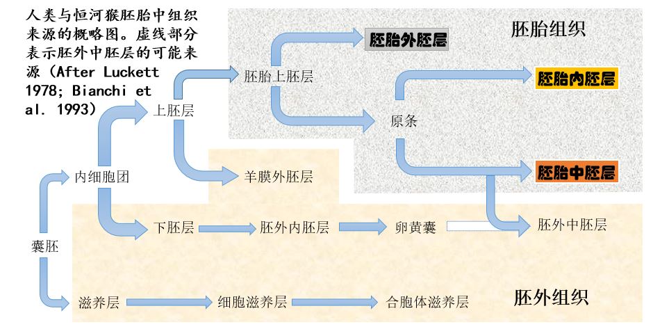 根據英文版自改，侵刪