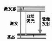 受激發射損耗螢光顯微術