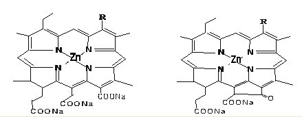 茶綠色素