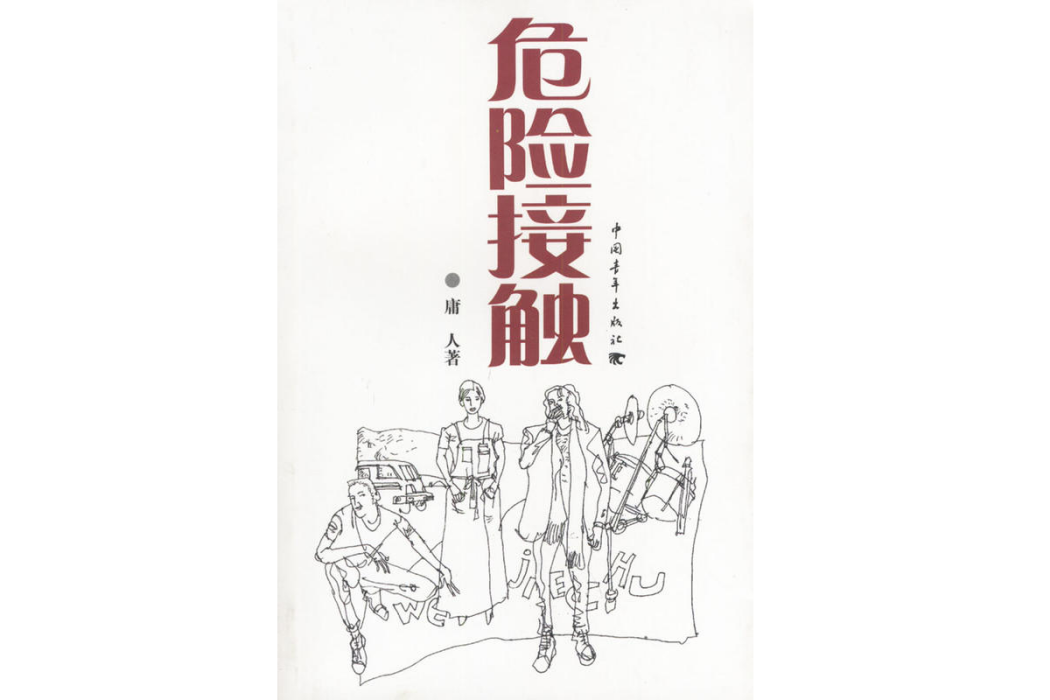 危險接觸(2004年中國青年出版社出版的圖書)