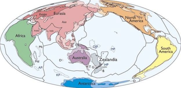 圖中灰色部分為Zealandia的地理方位