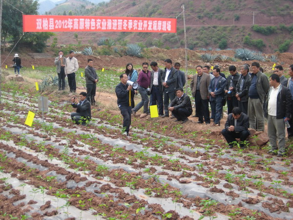 大麥地村民小組