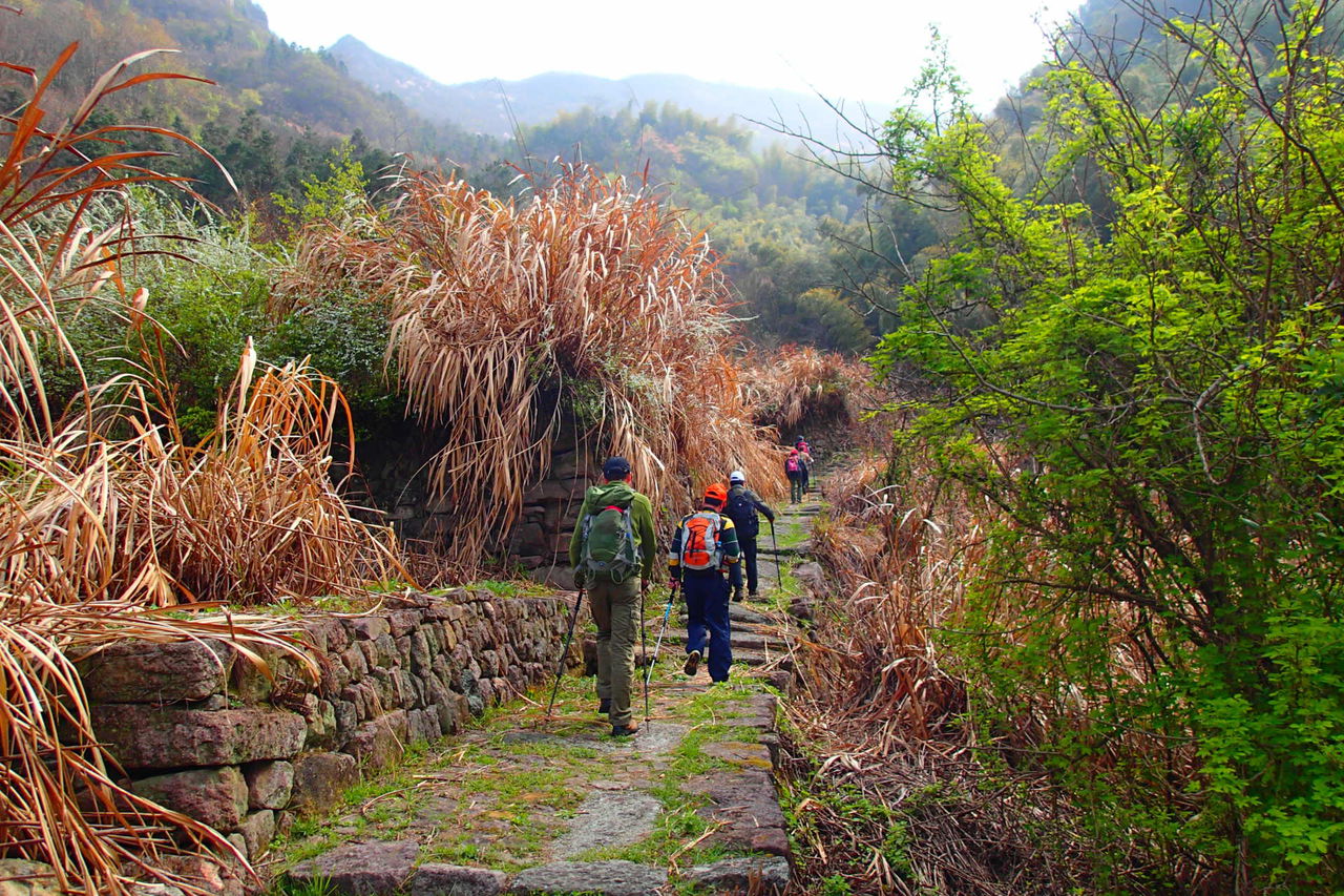 馬嶺古道