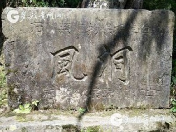 金豐村(陝西省勉縣同溝寺鎮轄村)