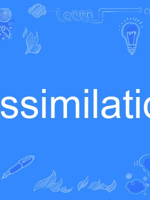 assimilation(英語單詞)