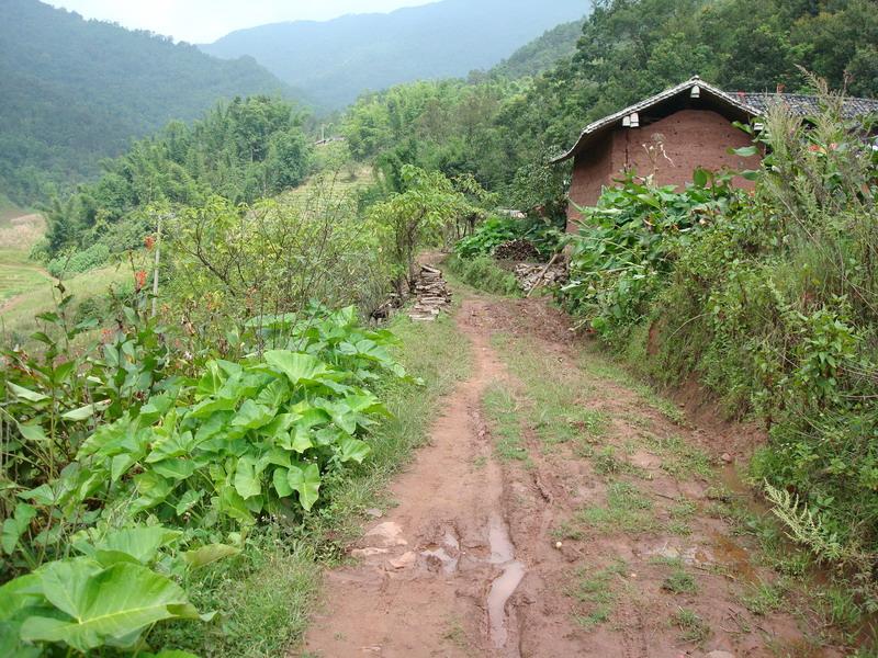 那掌村