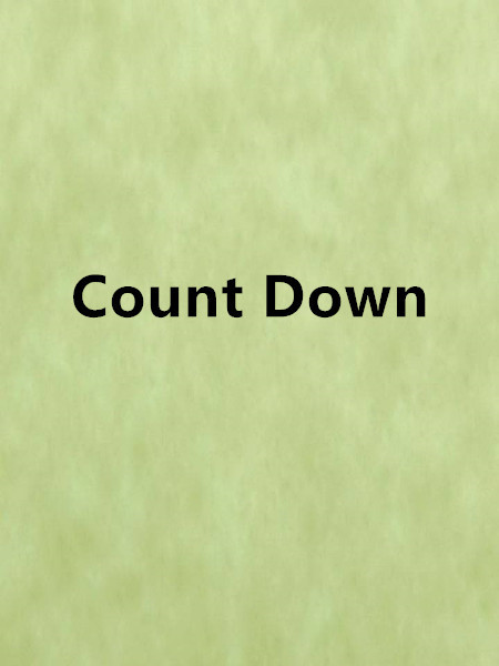 Count Down(小說)