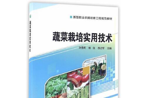 蔬菜栽培實用技術(2016年中國農業科學技術出版社出版的圖書)