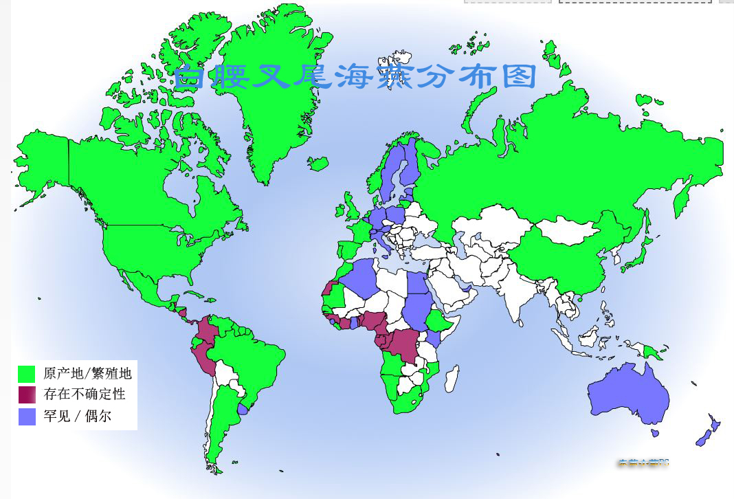 白腰叉尾海燕分布圖