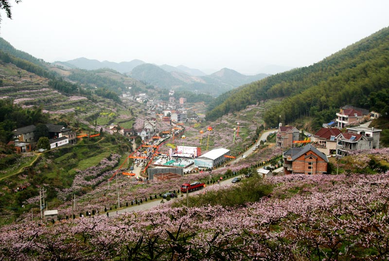 半山村(雲南省曲靖宣威市文興鄉半山村委會)