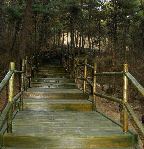 石洞溝森林公園