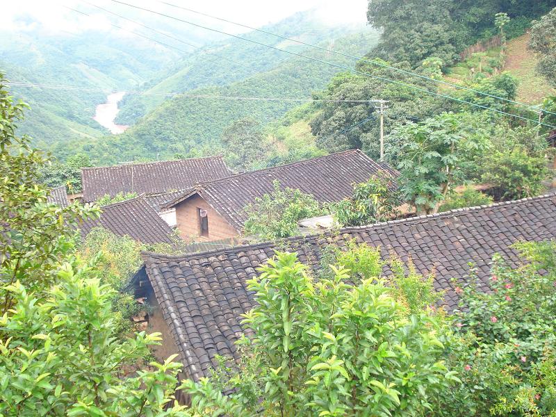 大車樹自然村