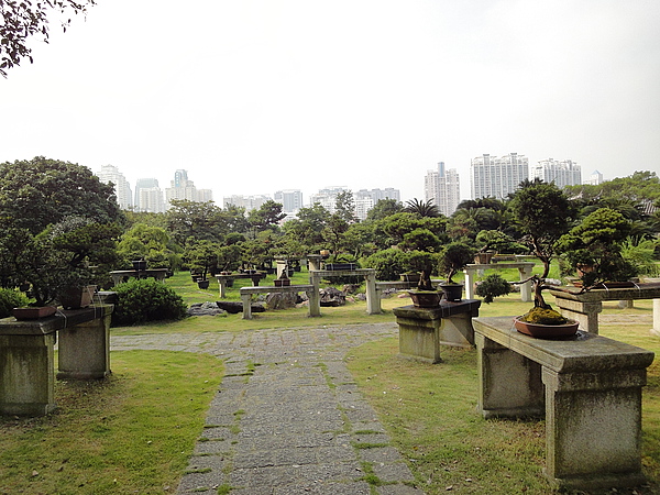 江心雙塔(江心嶼雙塔)