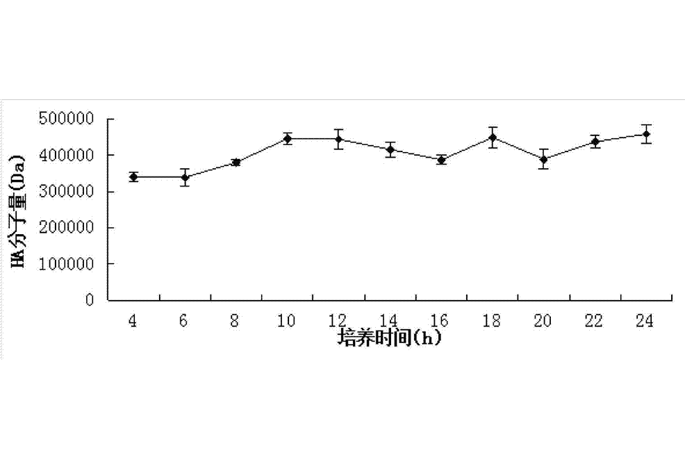 低分子量透明質酸的製備方法及工程菌