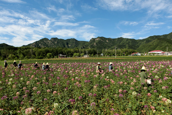 珍珠泉村