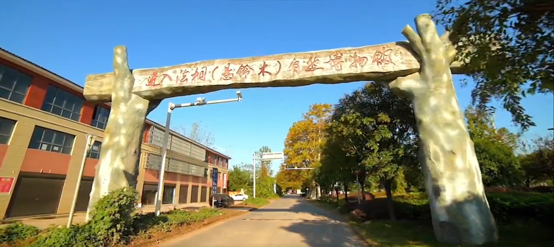 王老村(湖北省仙桃市乾河街道辦事處下轄村)