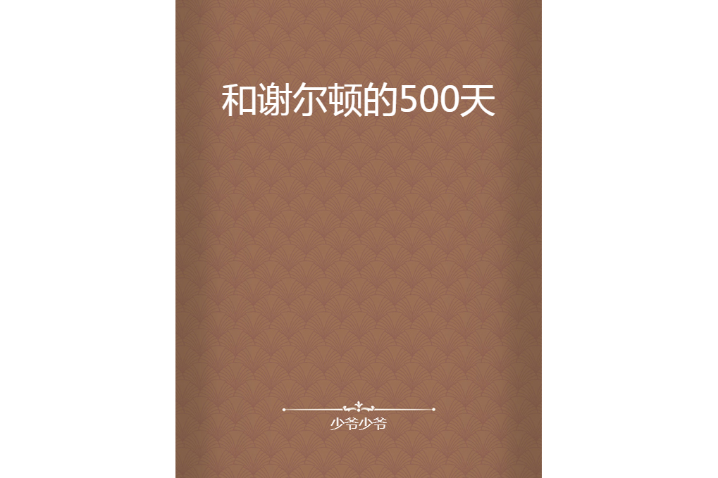 和謝爾頓的500天